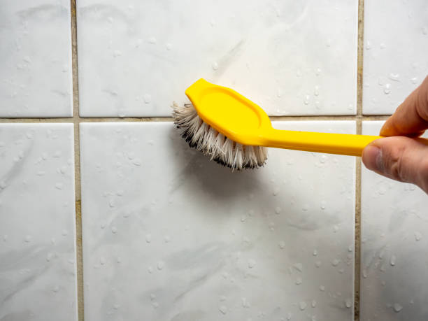 Best Preventive Mold Services in El Paso, TX
