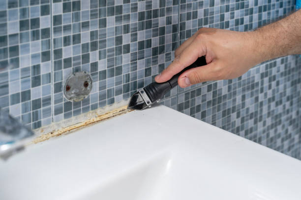  El Paso, TX Mold Removal Pros
